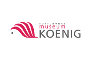 Museum König